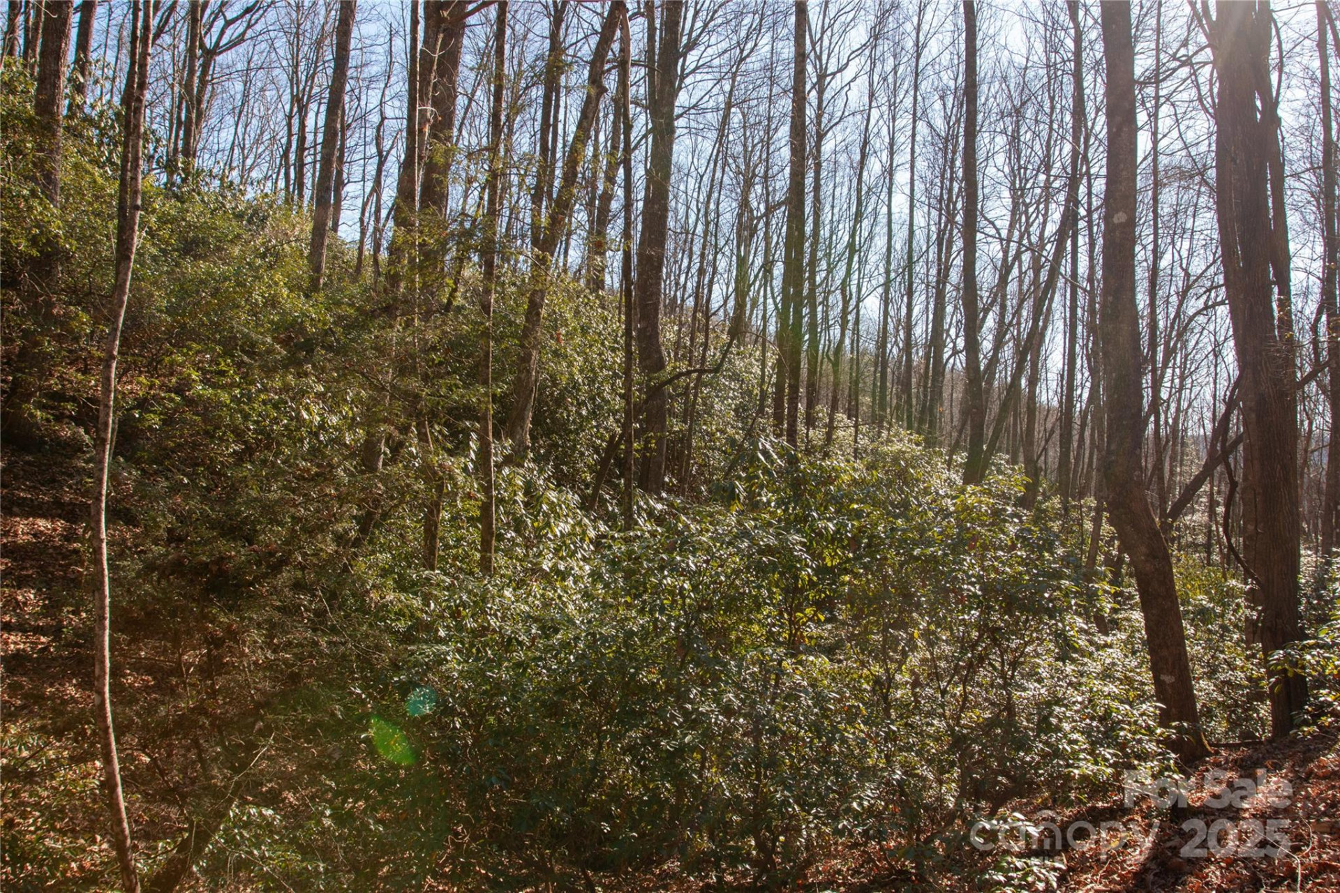 Lot 26 Big Branch Road - Photo 9