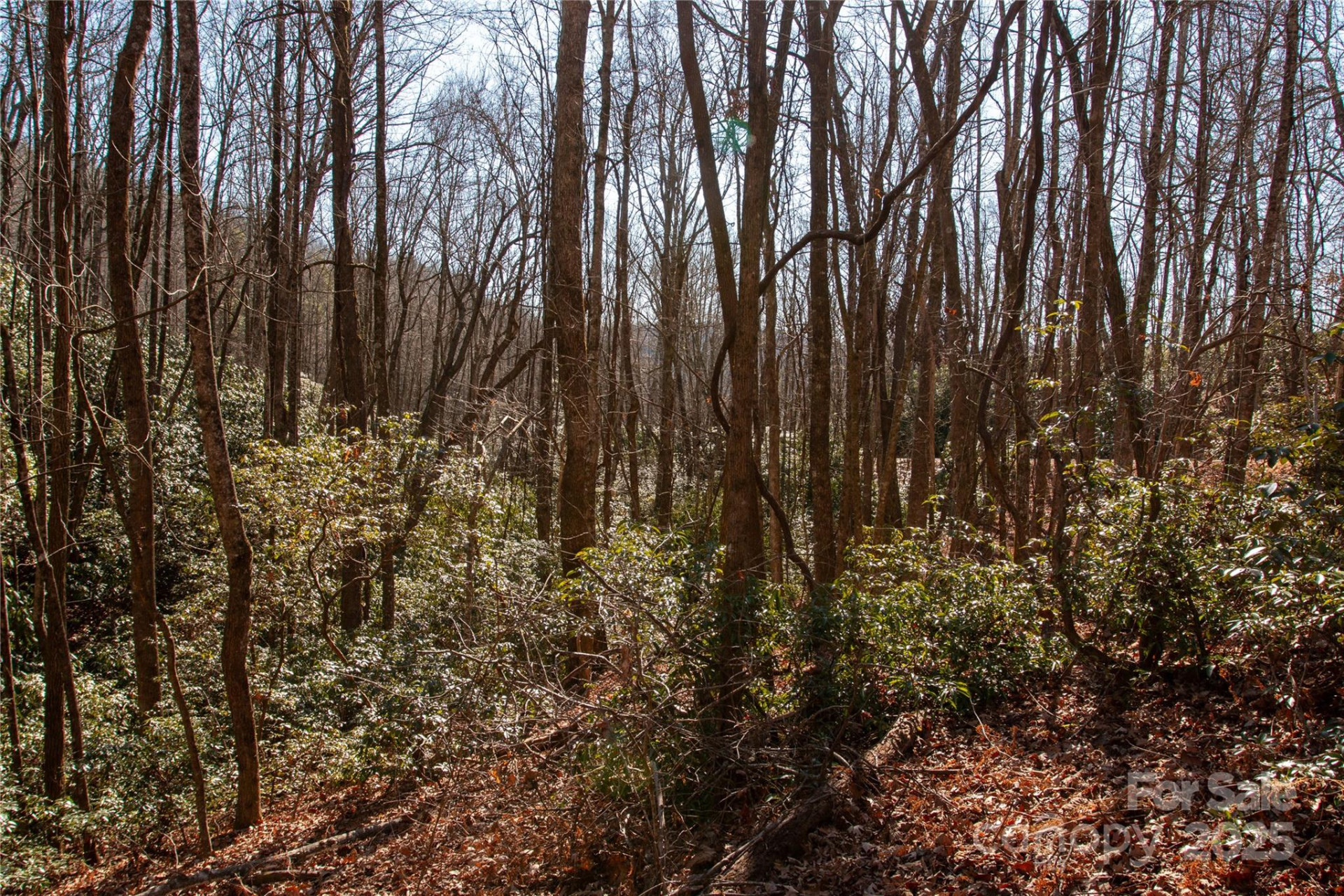 Lot 26 Big Branch Road - Photo 10