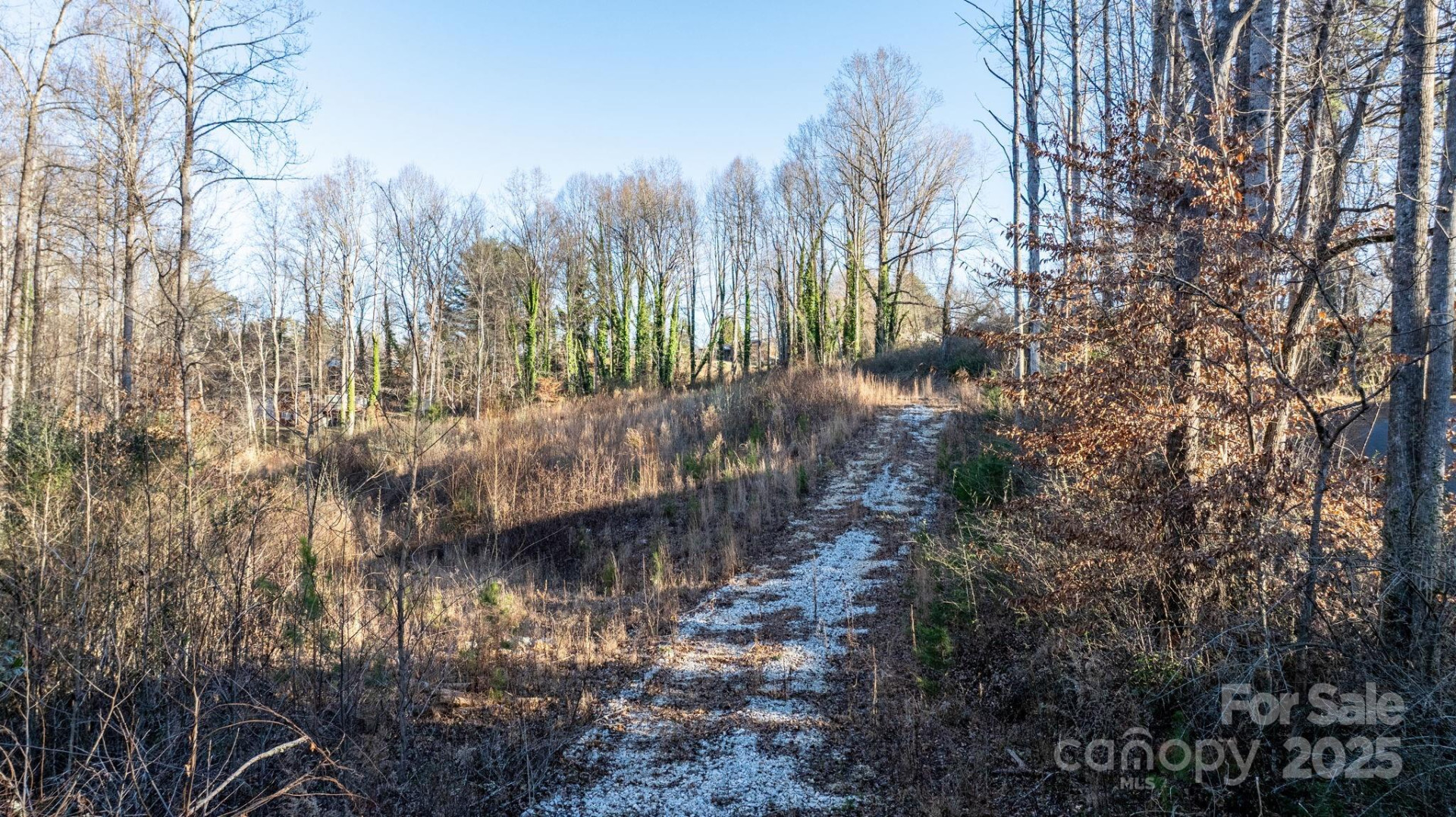 74 Court Cemetery Road - Photo 2