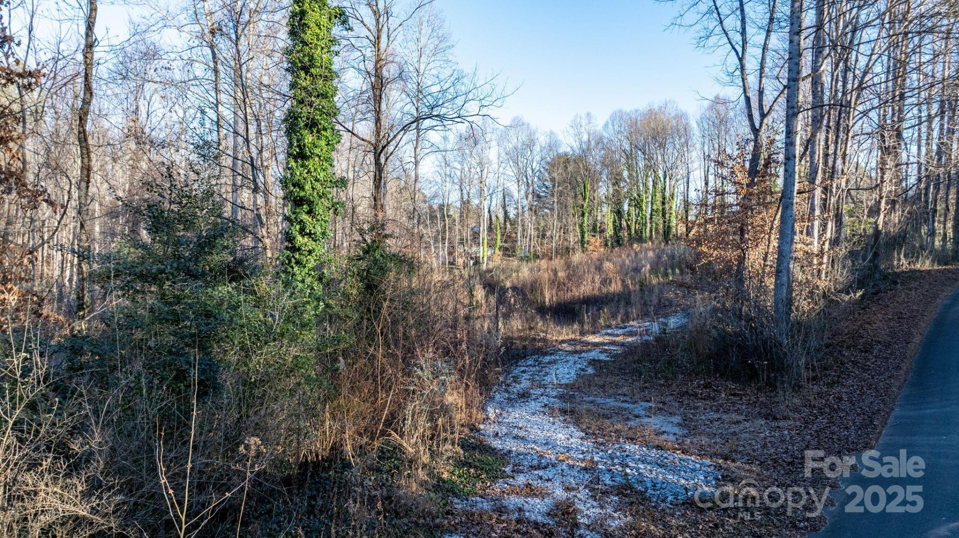 74 Court Cemetery Road - Photo 12