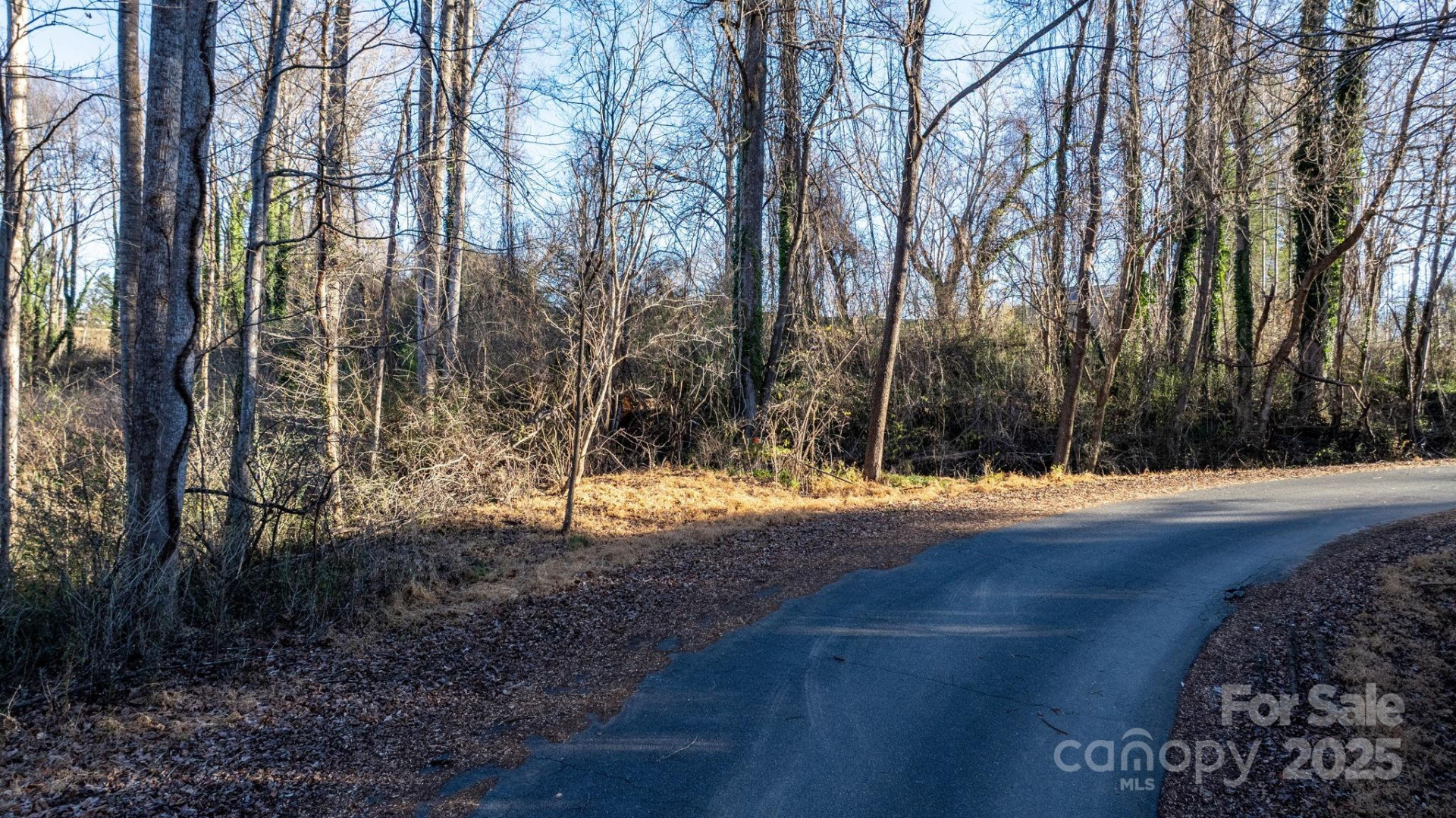 74 Court Cemetery Road - Photo 14