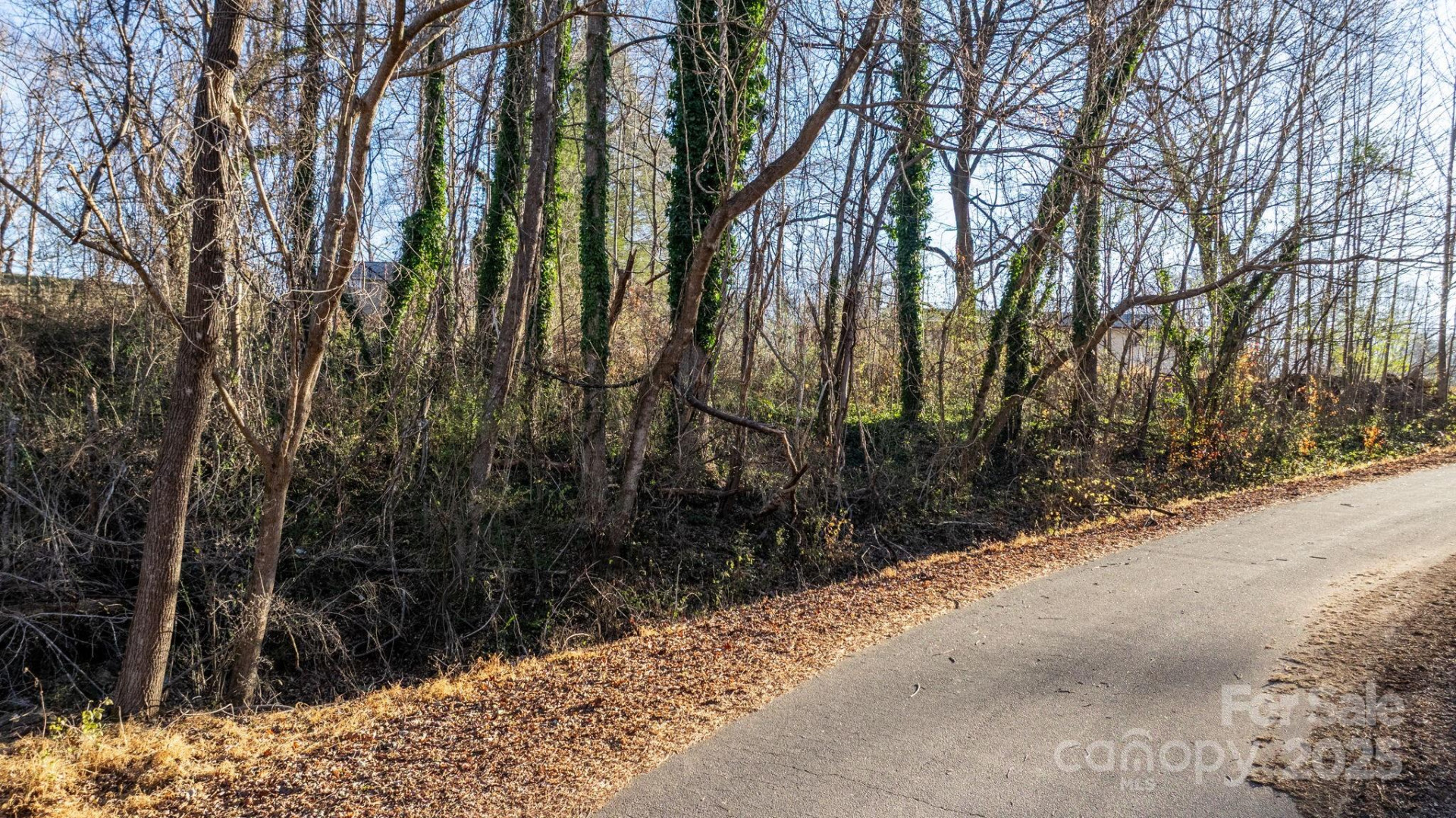 74 Court Cemetery Road - Photo 15