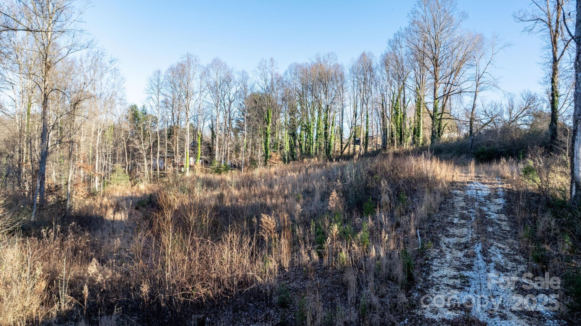 74 Court Cemetery Road - Photo 16