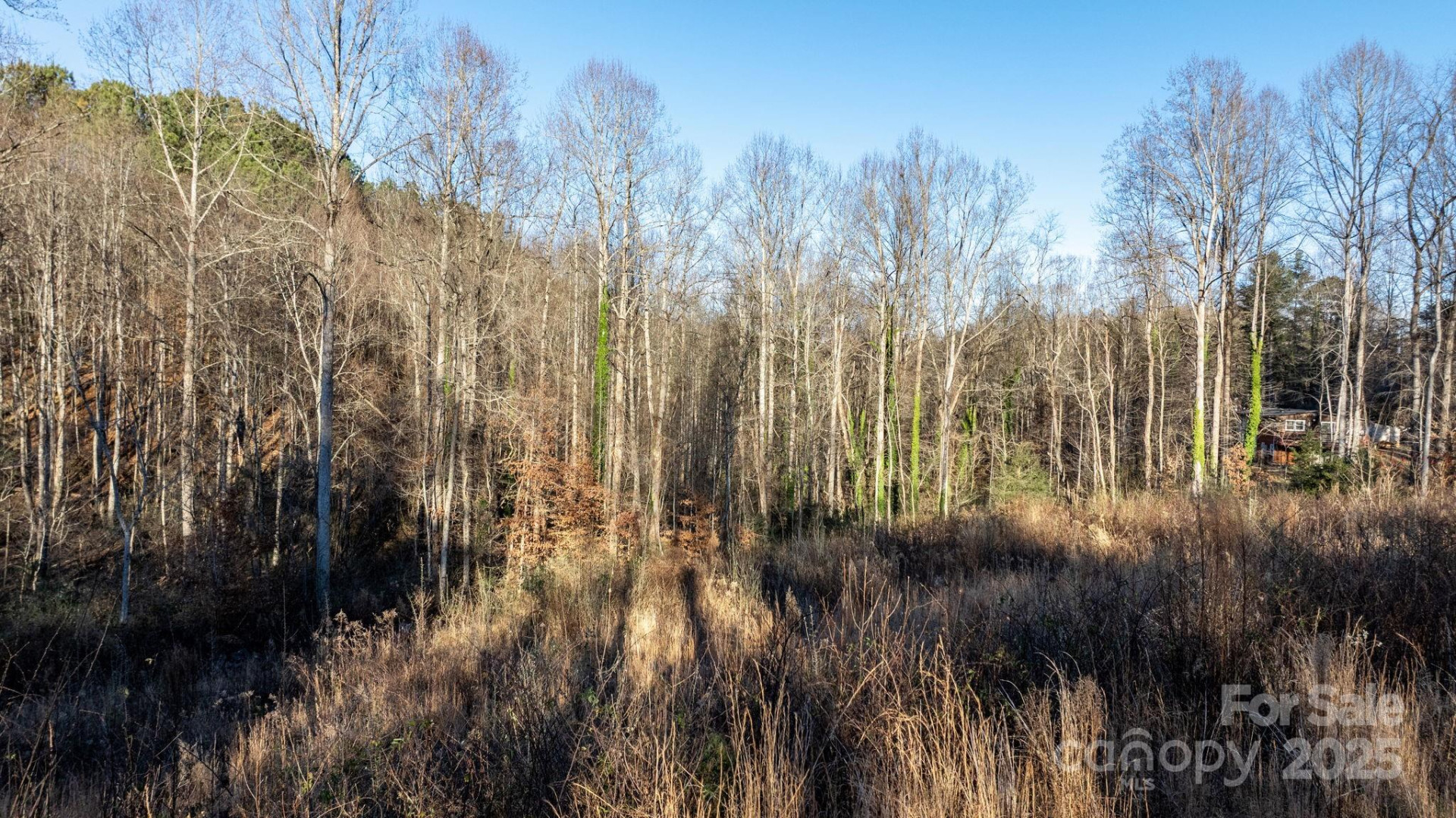 74 Court Cemetery Road - Photo 17