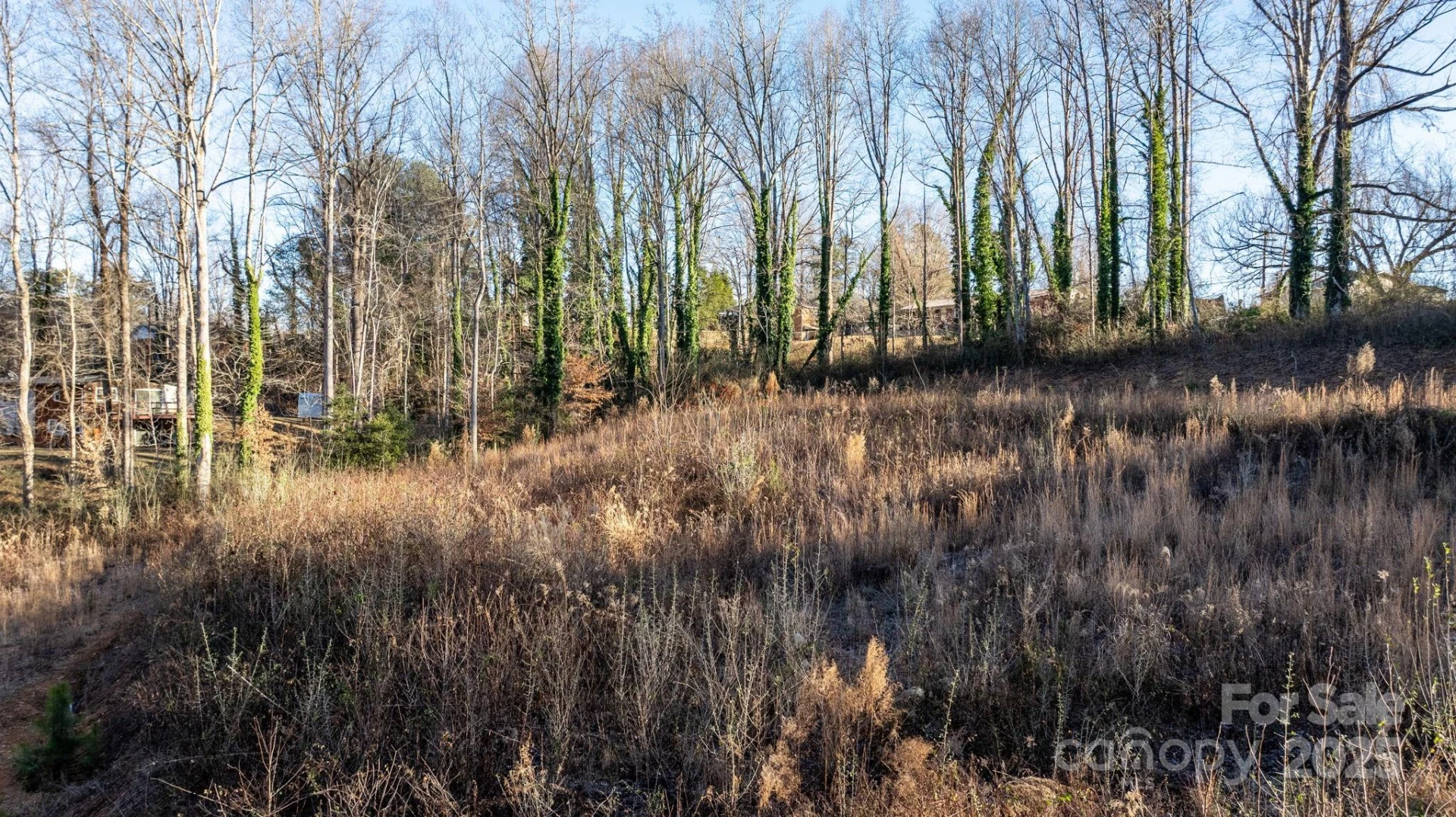 74 Court Cemetery Road - Photo 20