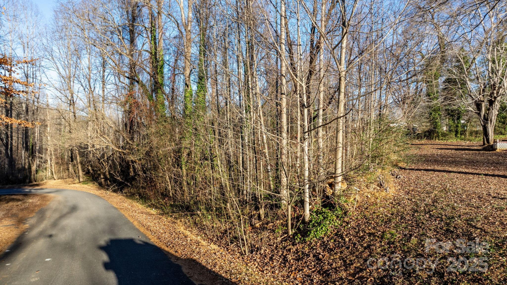 74 Court Cemetery Road - Photo 3