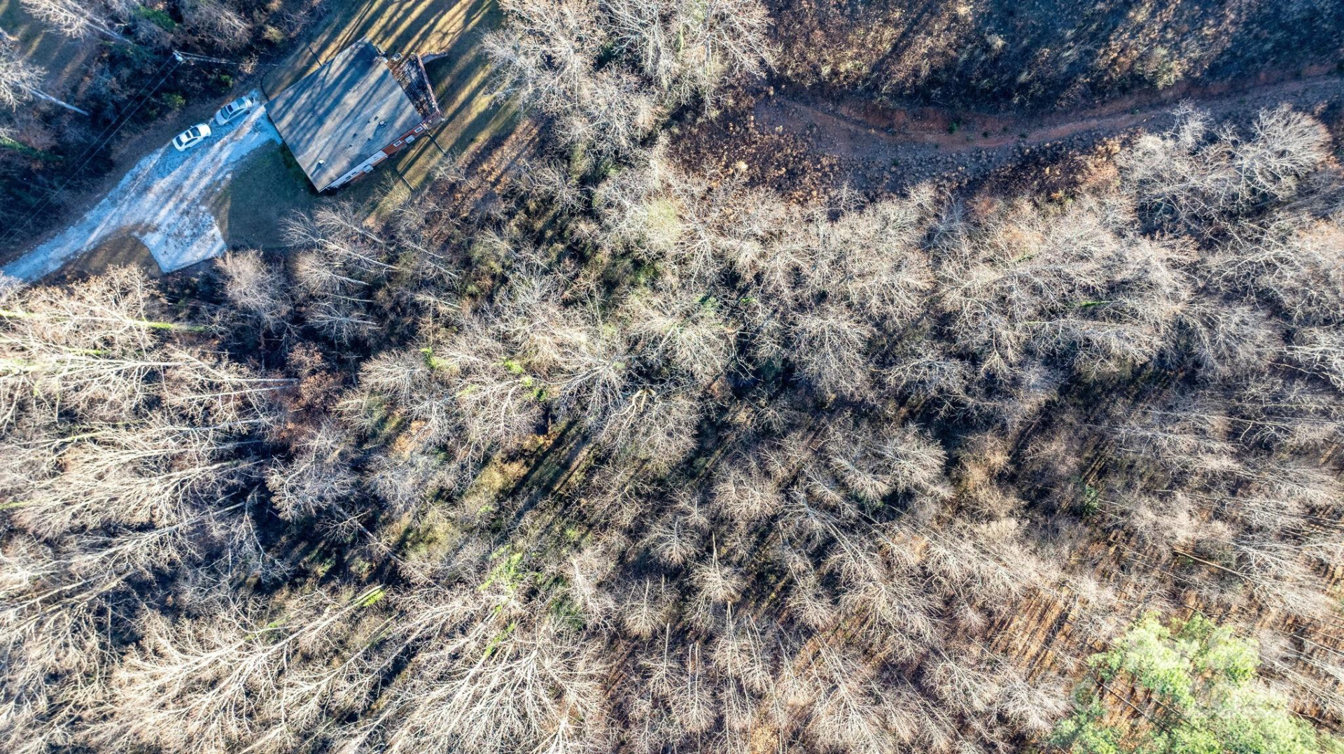 74 Court Cemetery Road - Photo 26