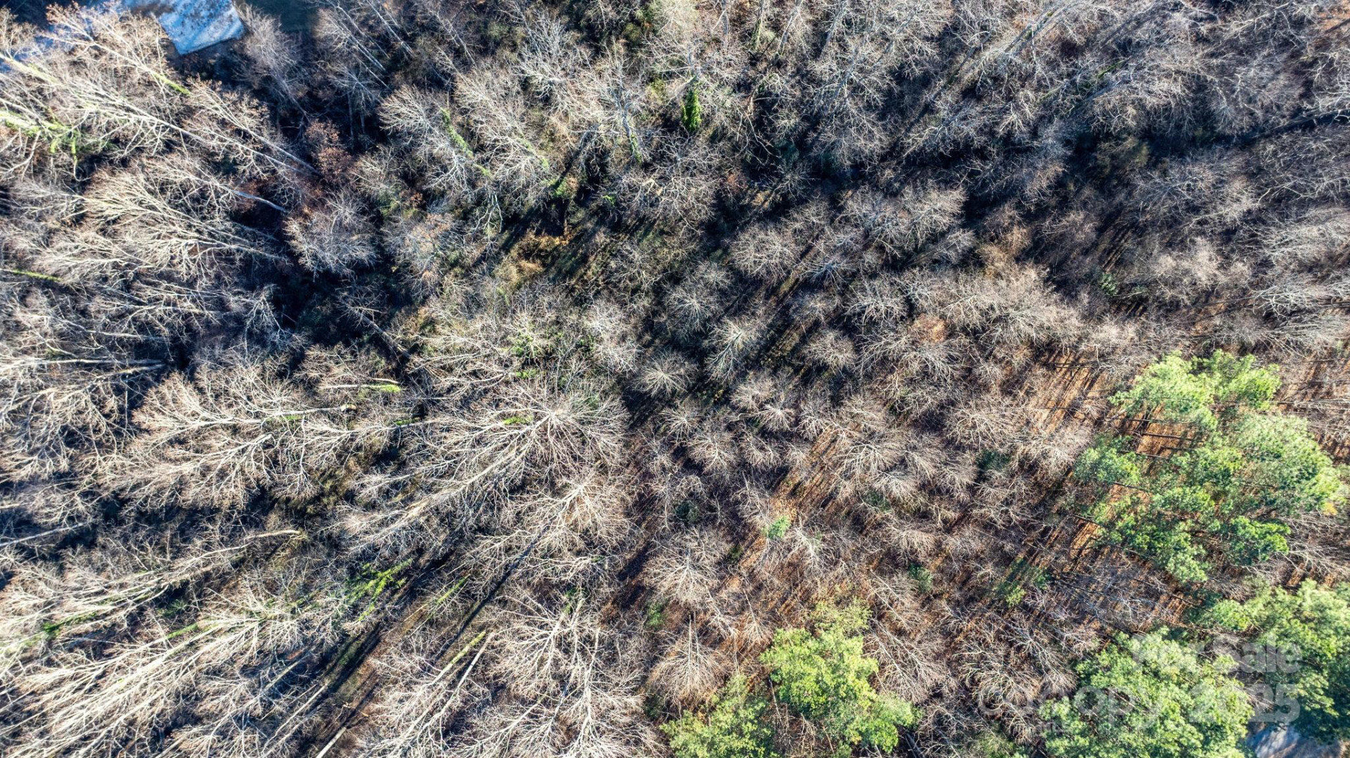 74 Court Cemetery Road - Photo 27