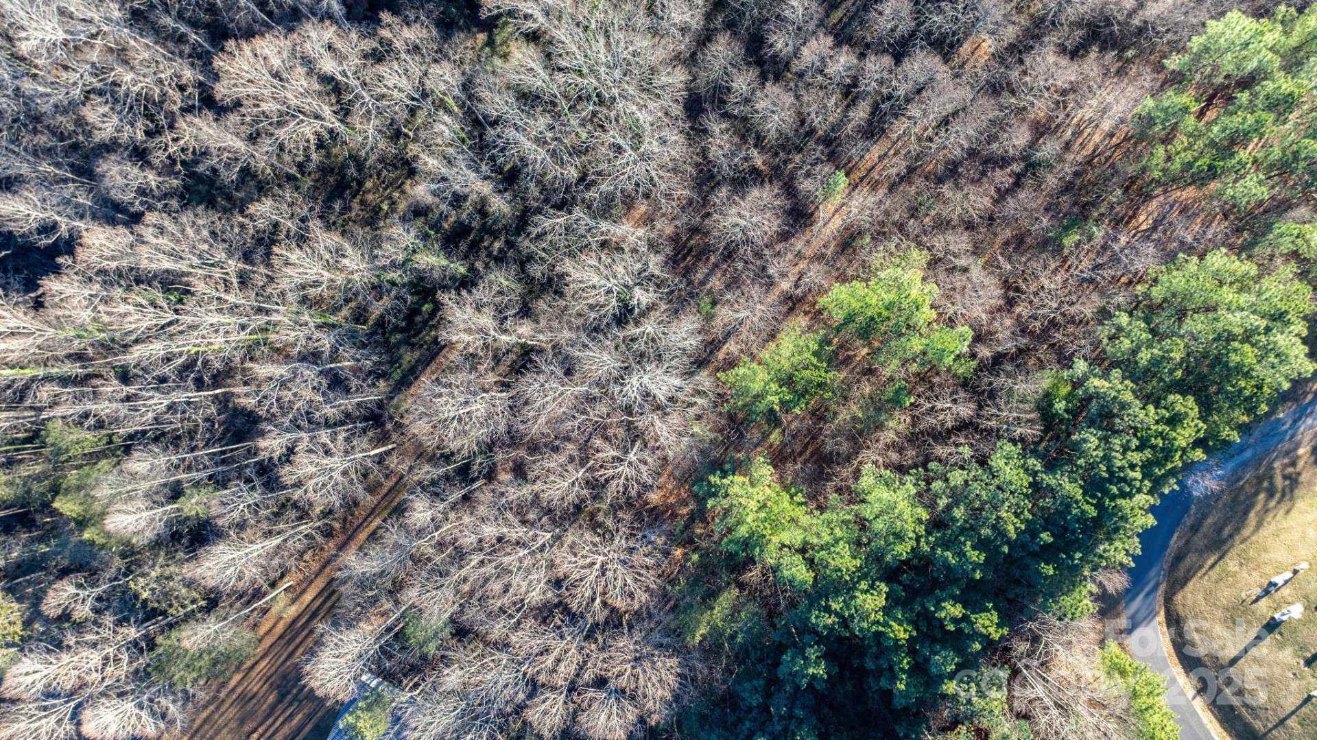 74 Court Cemetery Road - Photo 28