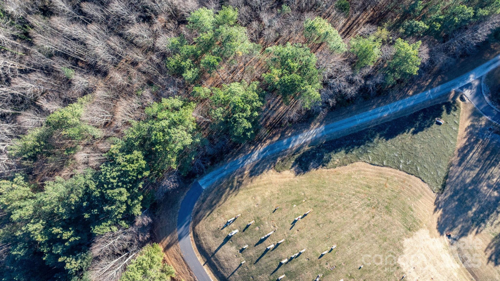 74 Court Cemetery Road - Photo 29
