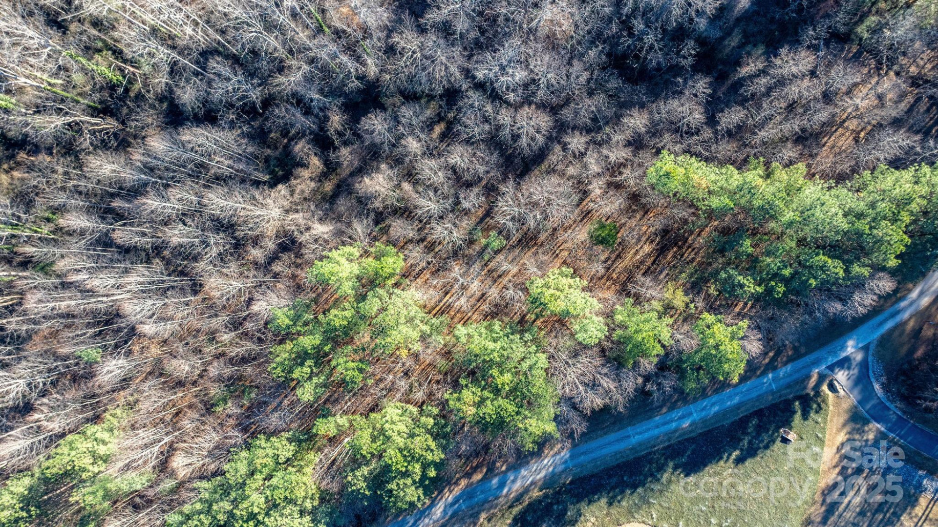 74 Court Cemetery Road - Photo 30