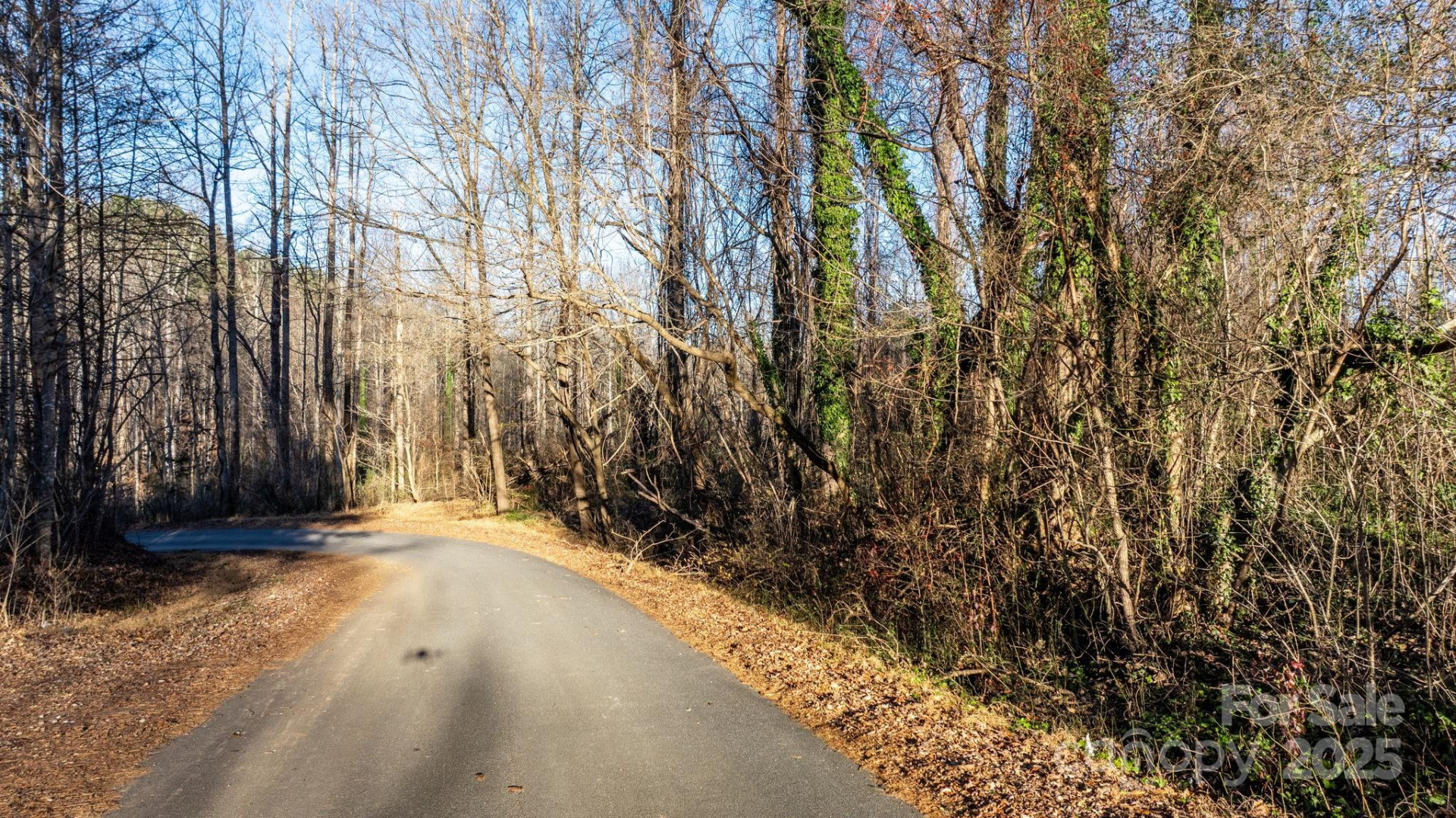 74 Court Cemetery Road - Photo 4