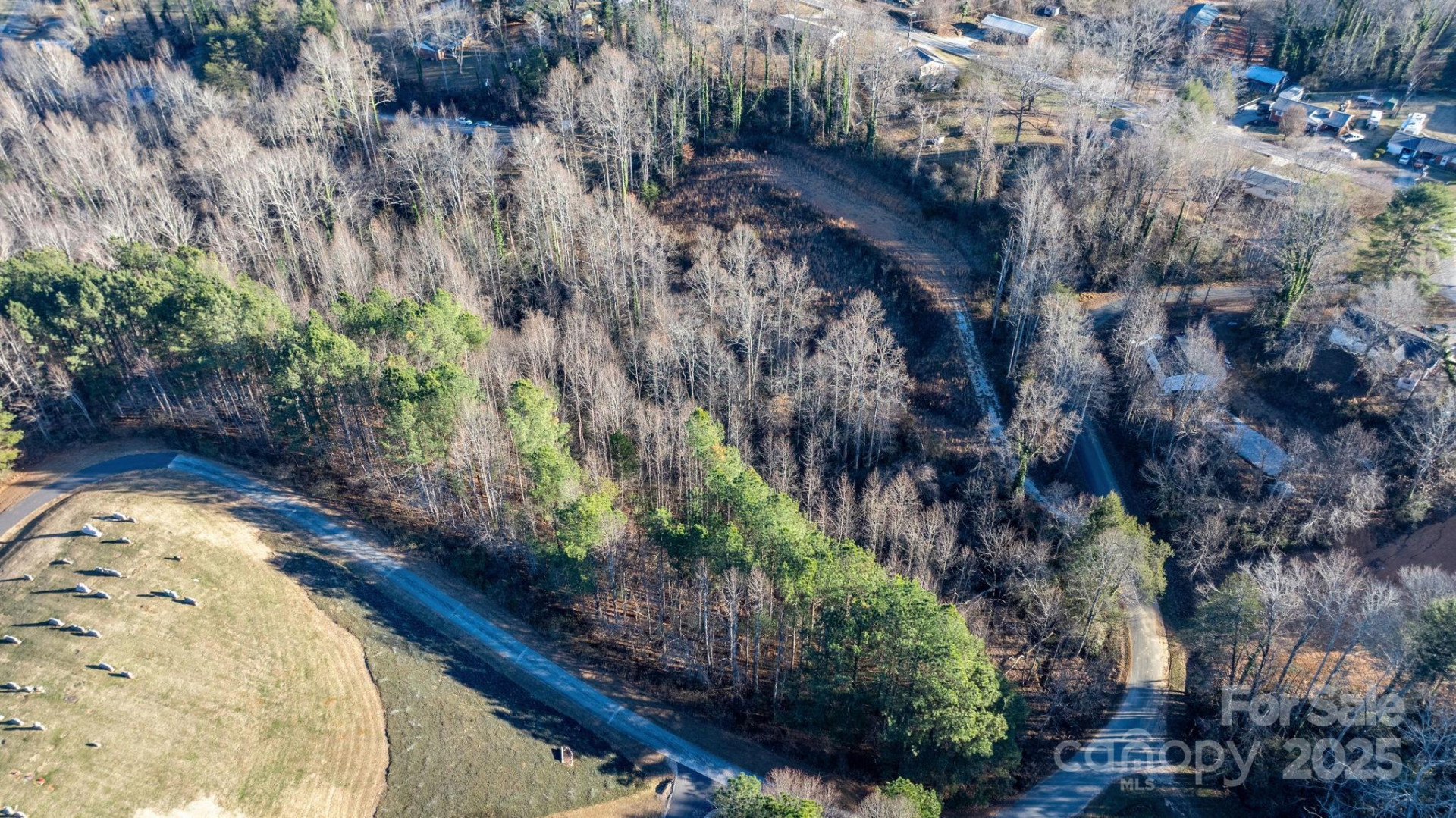 74 Court Cemetery Road - Photo 34