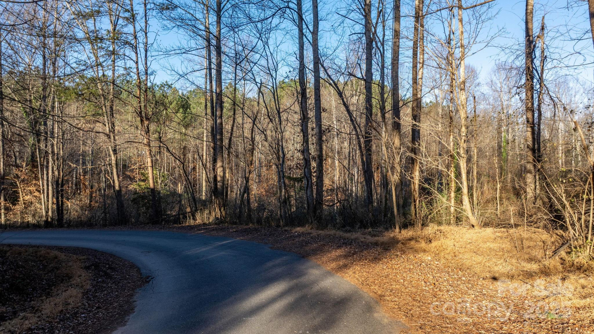 74 Court Cemetery Road - Photo 6
