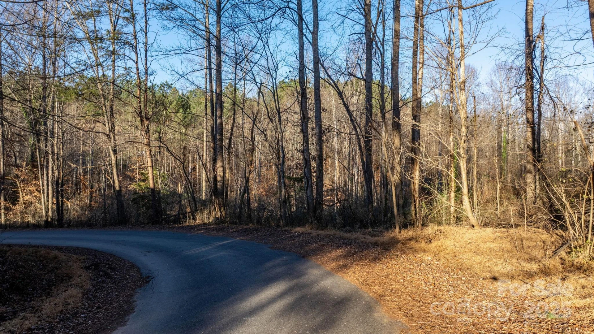 74 Court Cemetery Road - Photo 6