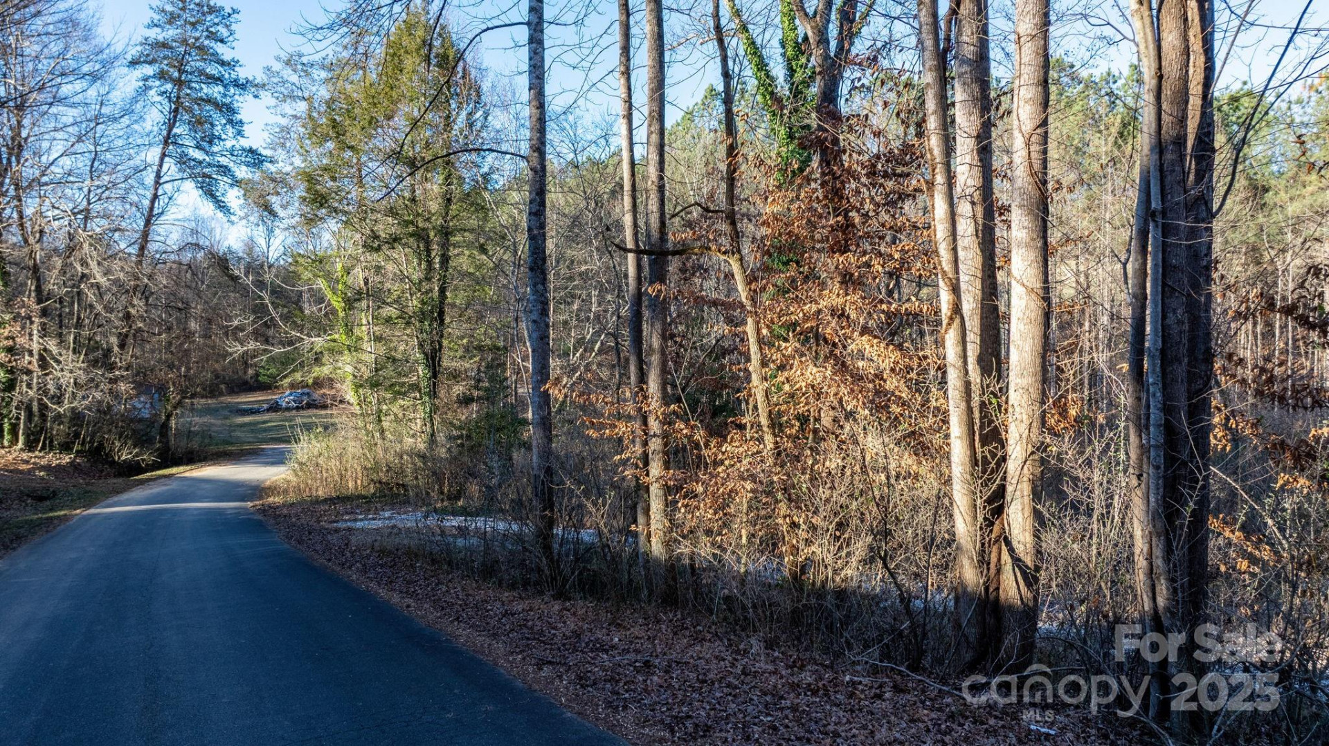 74 Court Cemetery Road - Photo 8
