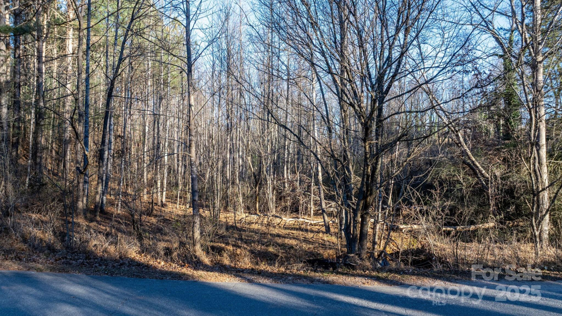 74 Court Cemetery Road - Photo 10