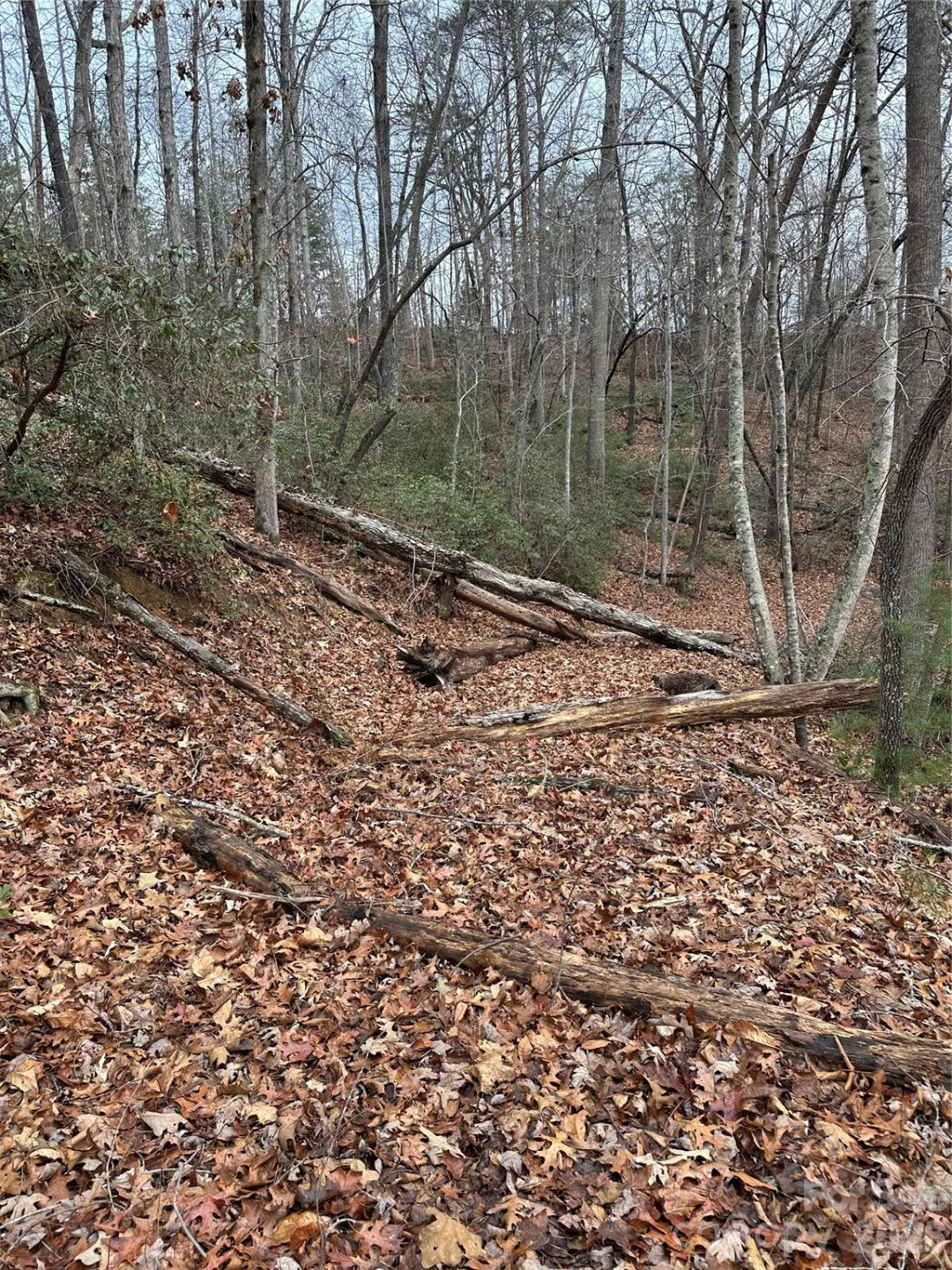 00 Jackson Cove Road #2 - Photo 11