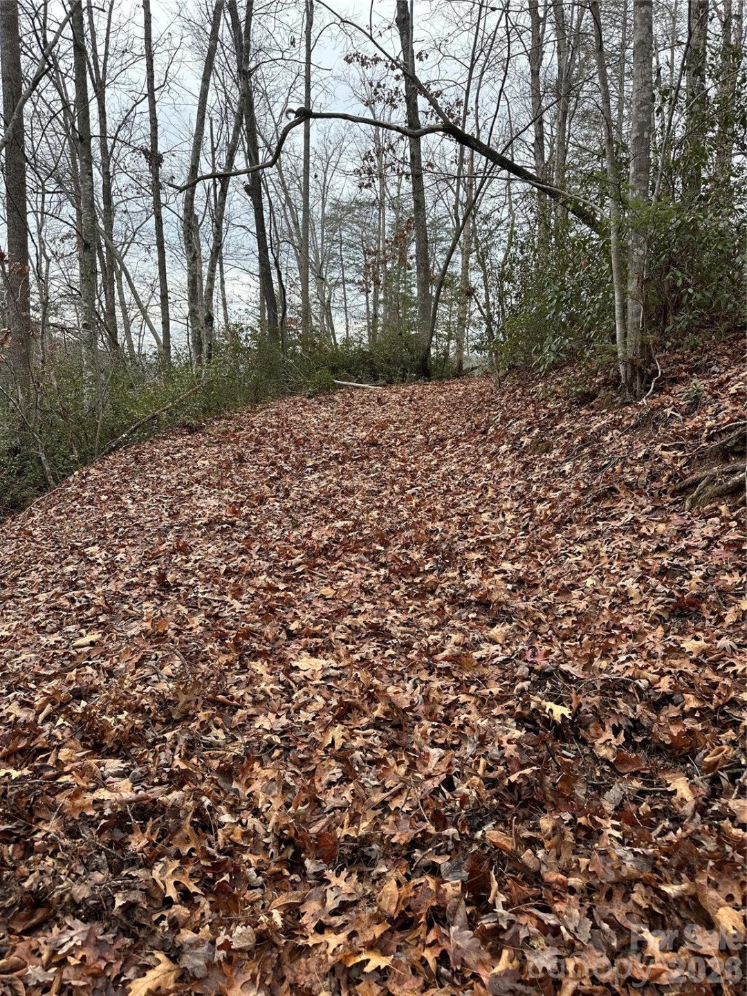 00 Jackson Cove Road #2 - Photo 12