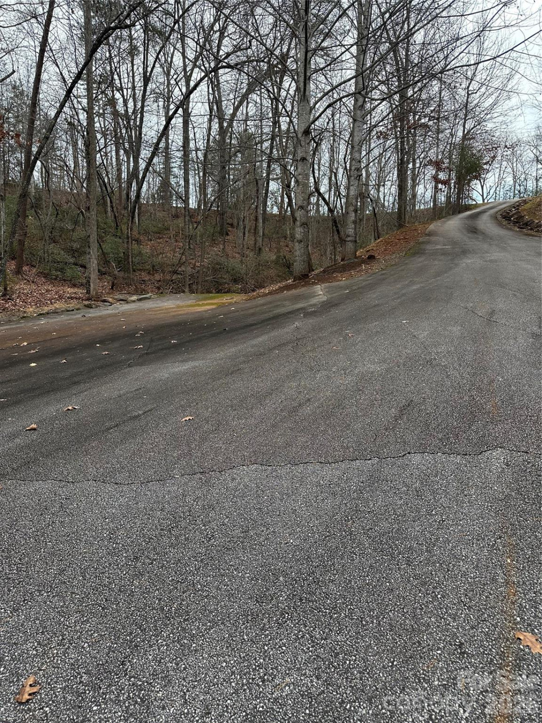 00 Jackson Cove Road #2 - Photo 13