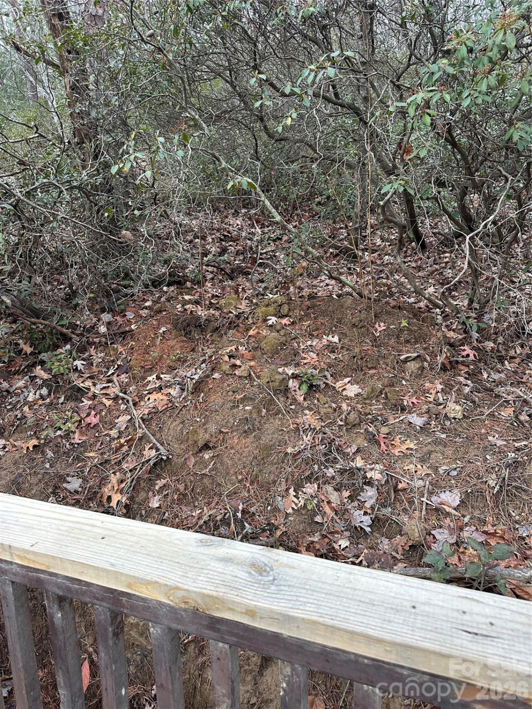 00 Jackson Cove Road #2 - Photo 15