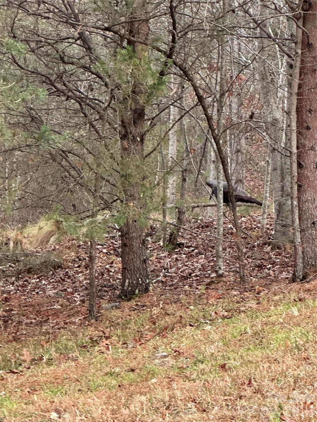 00 Jackson Cove Road #2 - Photo 20