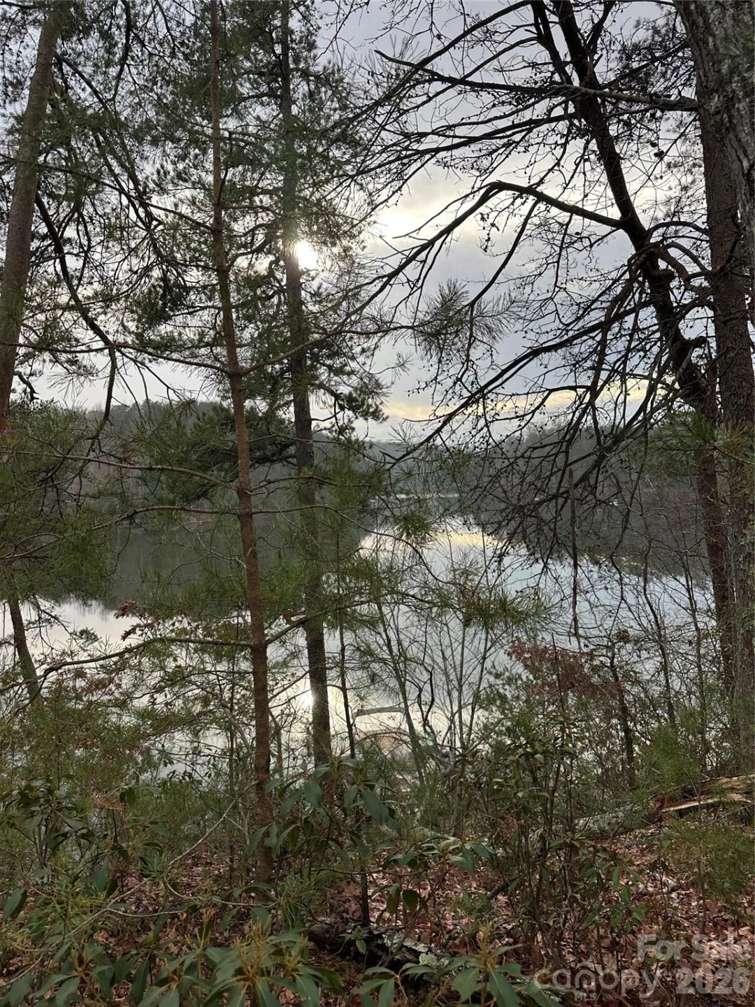 00 Jackson Cove Road #2 - Photo 3