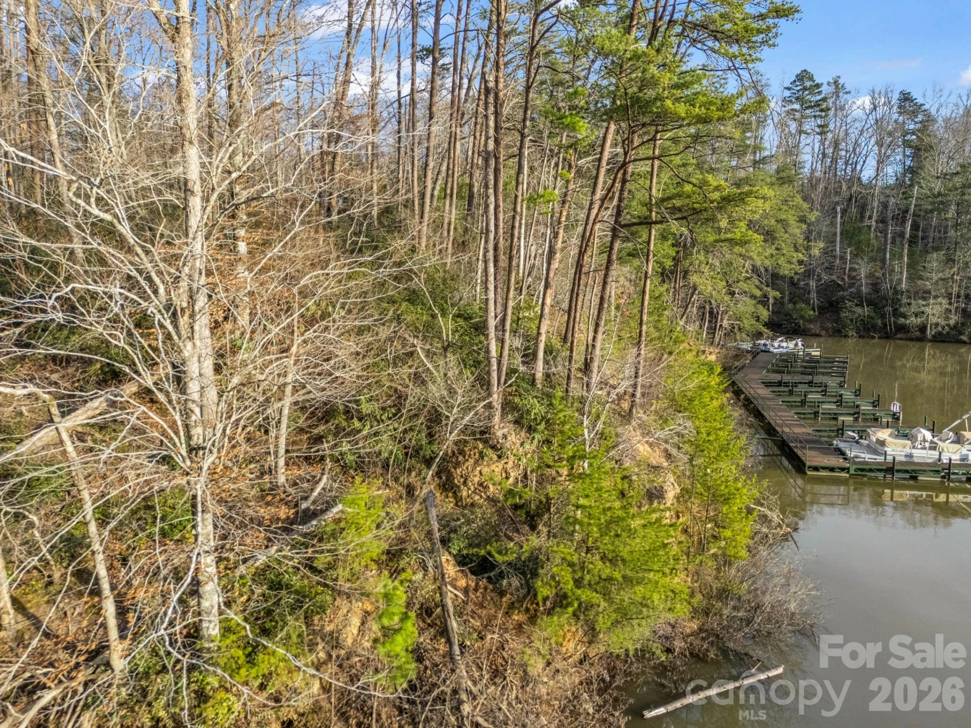 00 Jackson Cove Road #2 - Photo 29