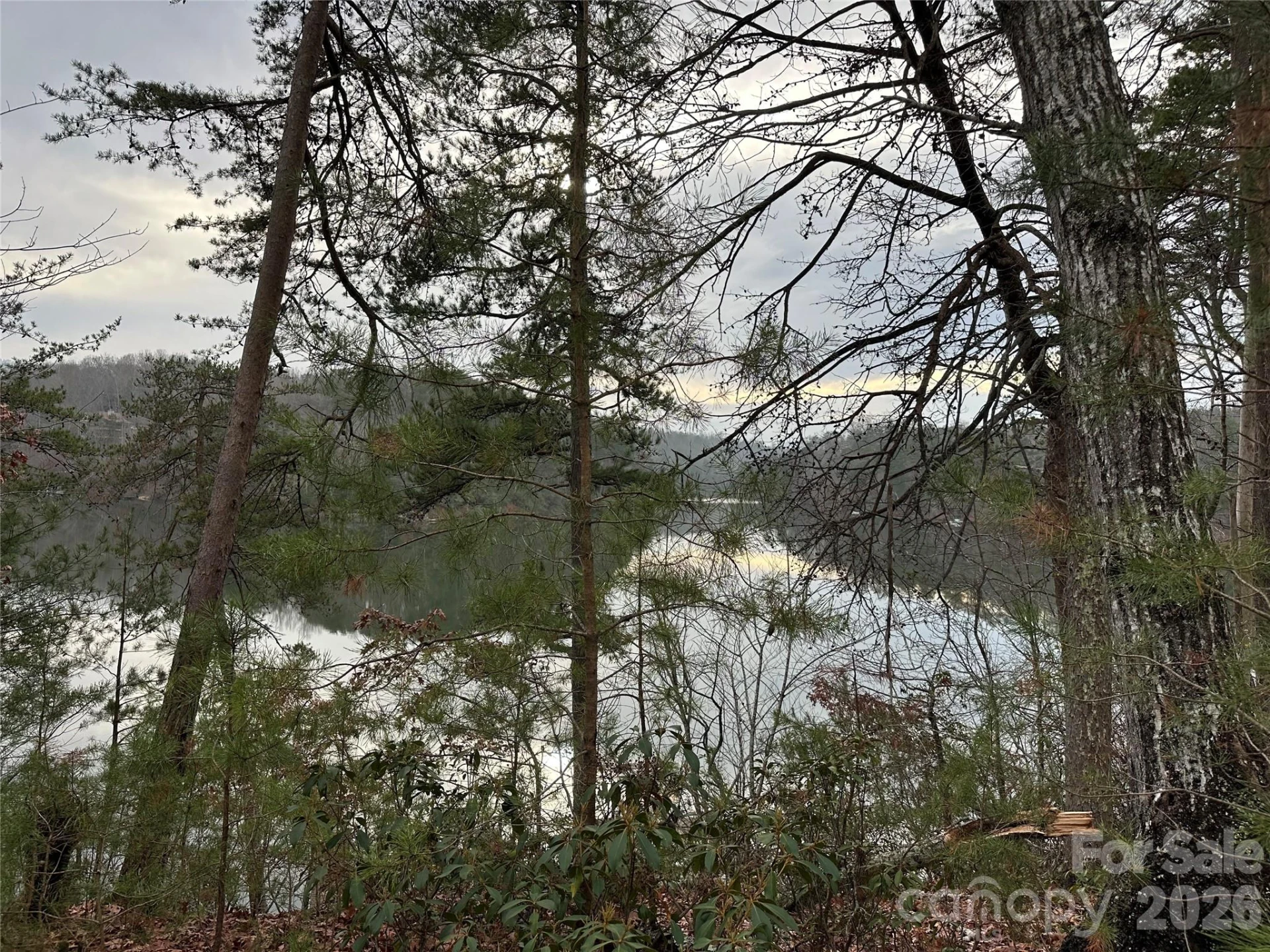 00 Jackson Cove Road #2 - Photo 4