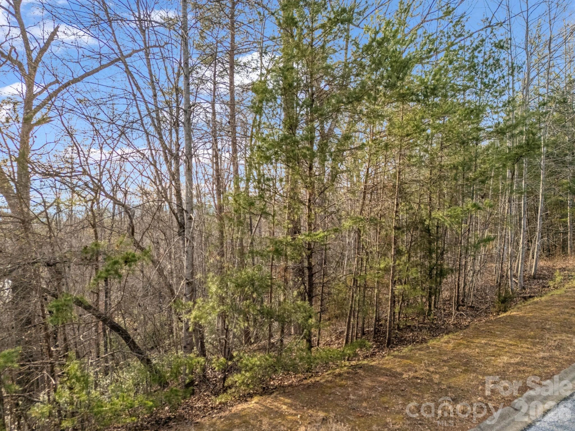 00 Jackson Cove Road #2 - Photo 33
