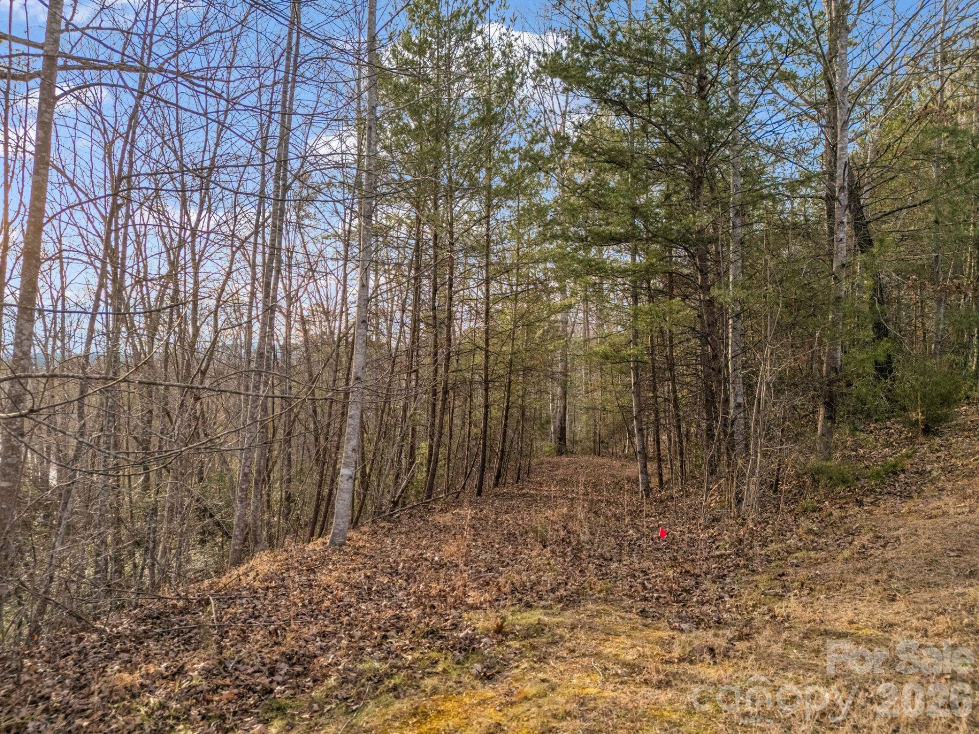 00 Jackson Cove Road #2 - Photo 34