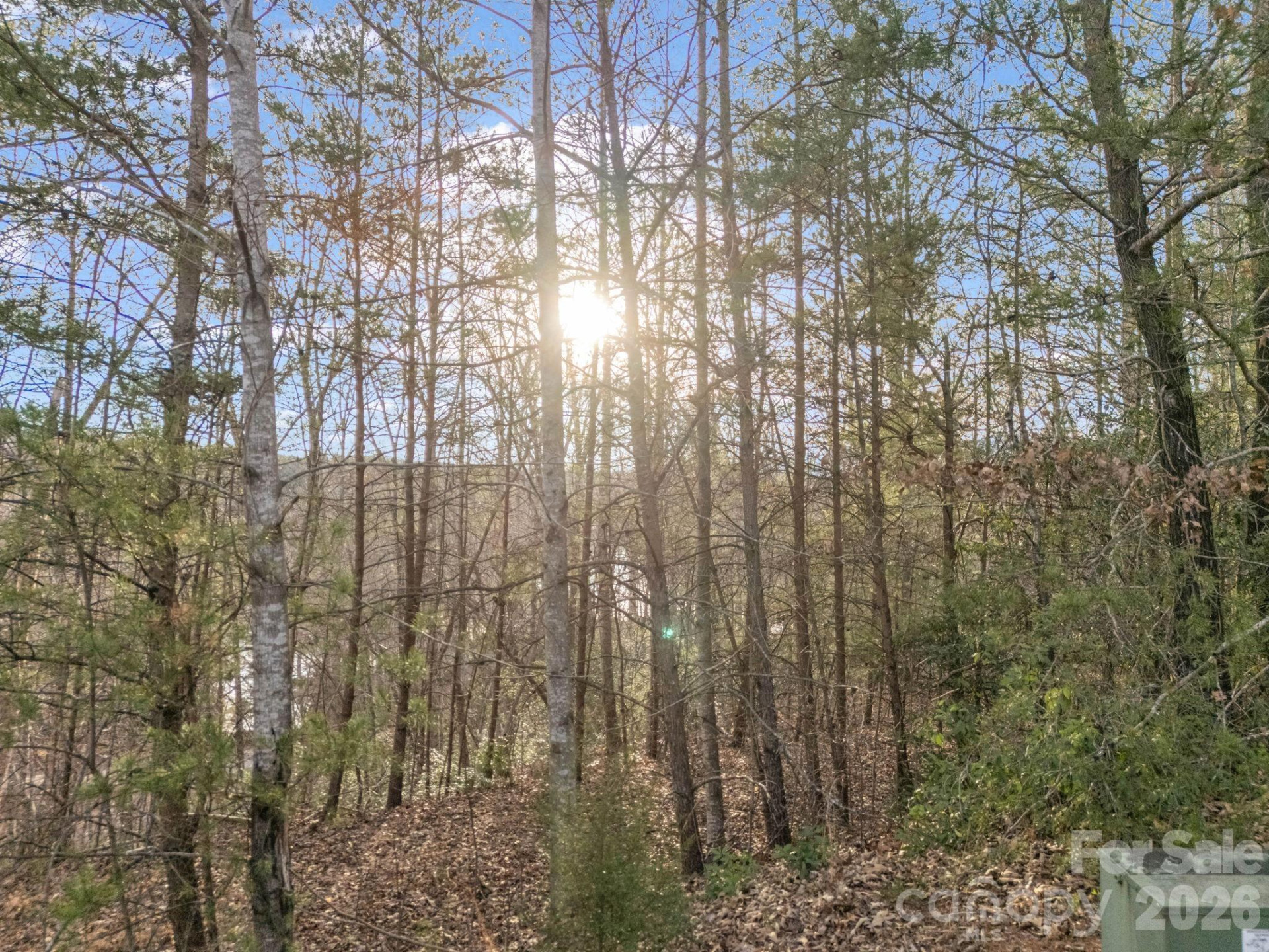 00 Jackson Cove Road #2 - Photo 35