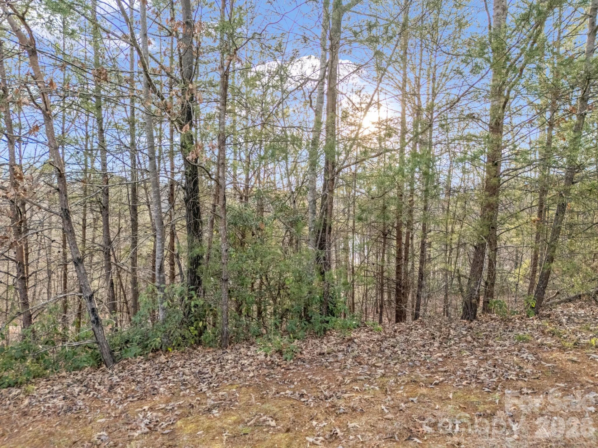 00 Jackson Cove Road #2 - Photo 36