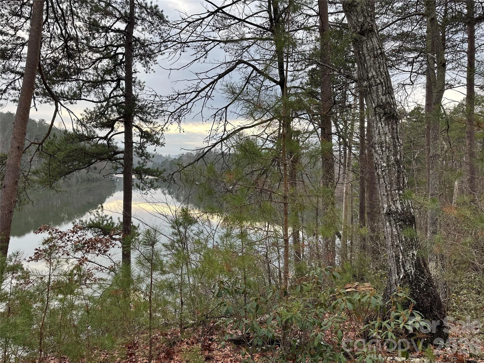 00 Jackson Cove Road #2 - Photo 5