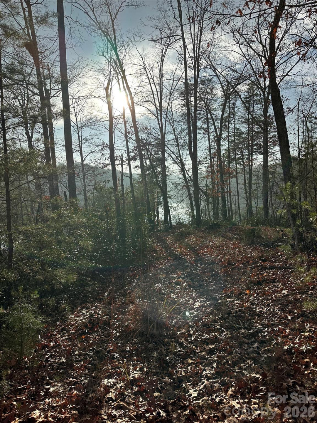 00 Jackson Cove Road #2 - Photo 6