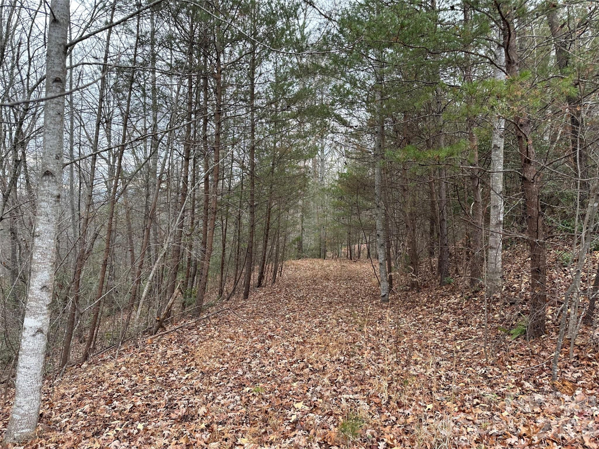 00 Jackson Cove Road #2 - Photo 7