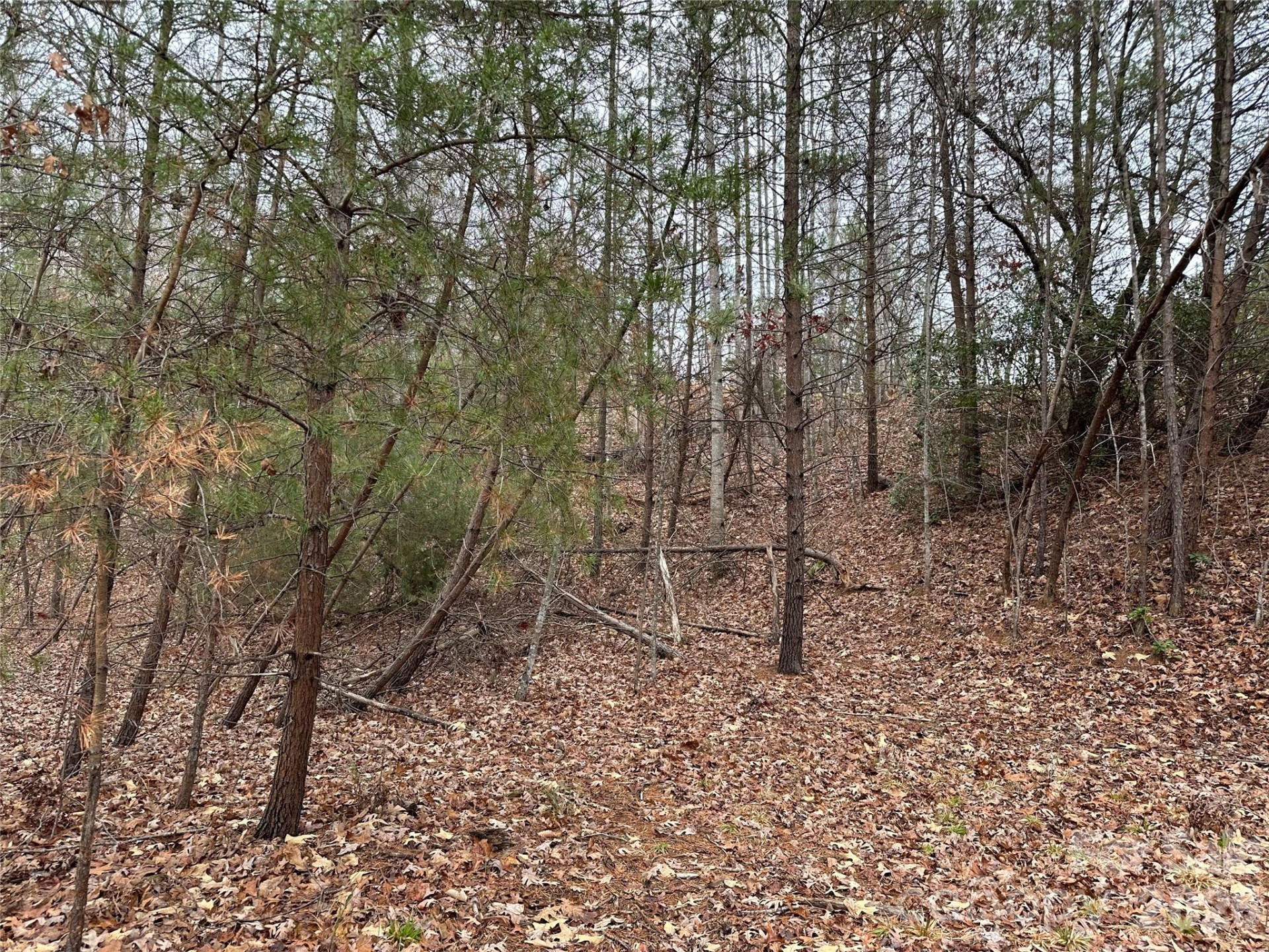 00 Jackson Cove Road #2 - Photo 8