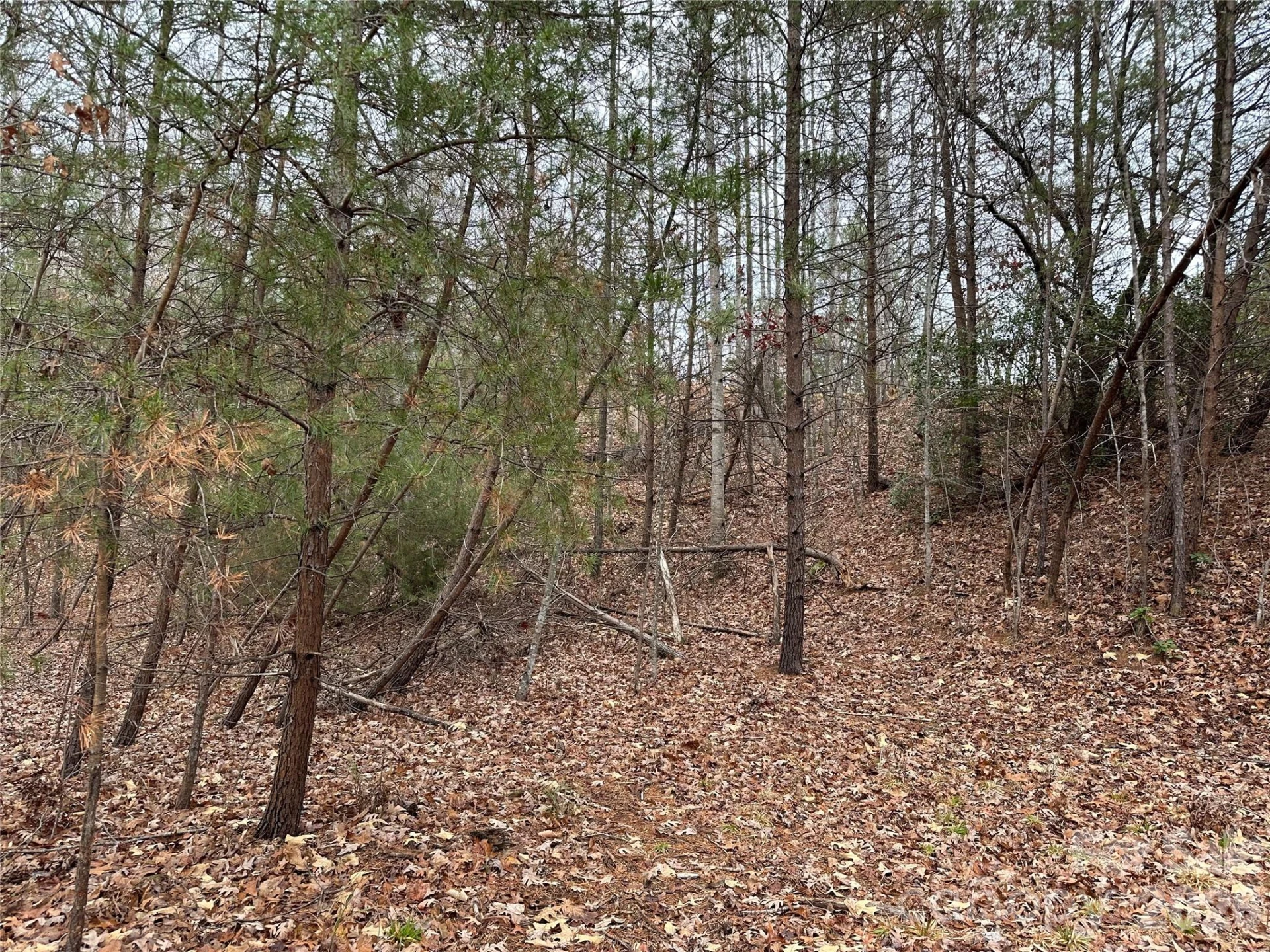 00 Jackson Cove Road #2 - Photo 8