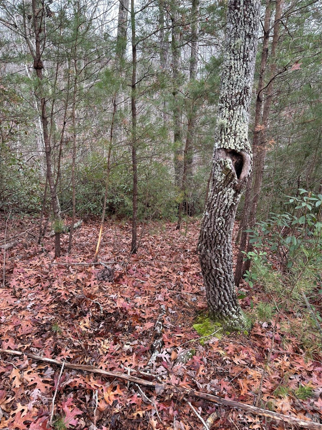 00 Jackson Cove Road #2 - Photo 9