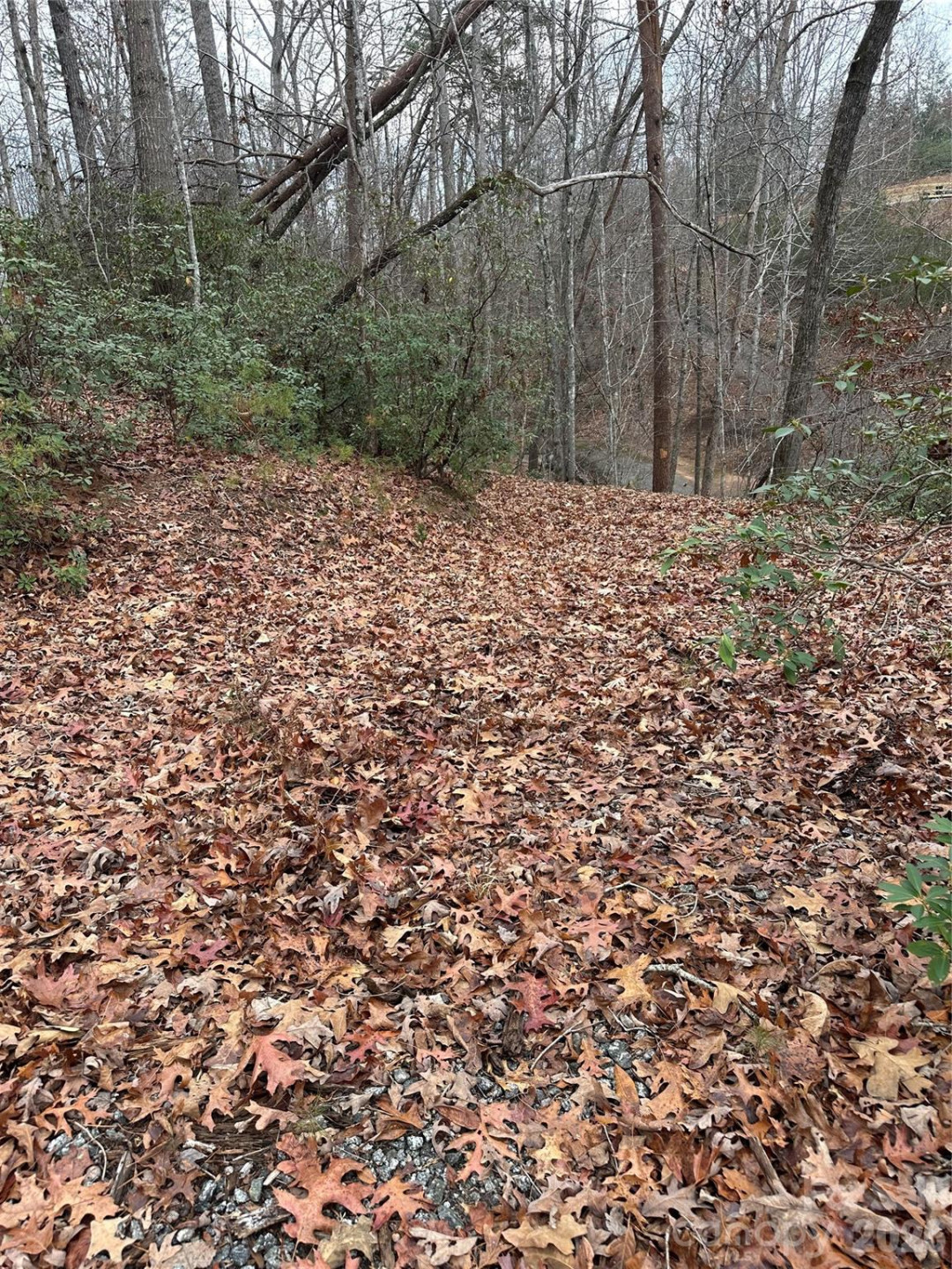 00 Jackson Cove Road #2 - Photo 10