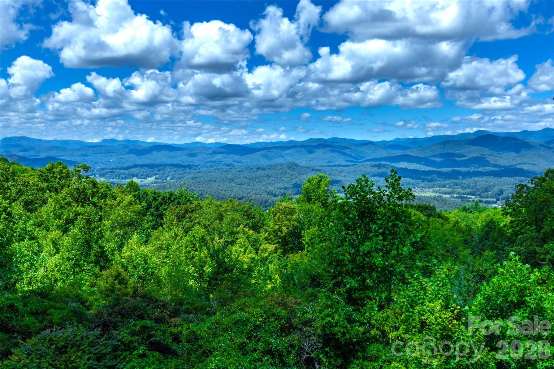 1692 Becky Mountain Road - Photo 46