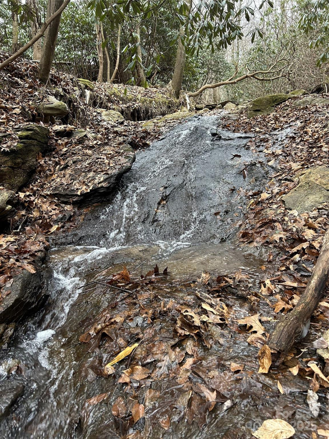 000 Lytle Cove Road - Photo 11