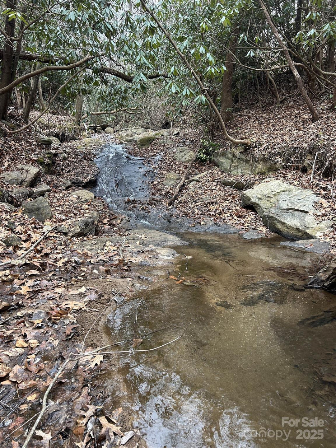 000 Lytle Cove Road - Photo 12