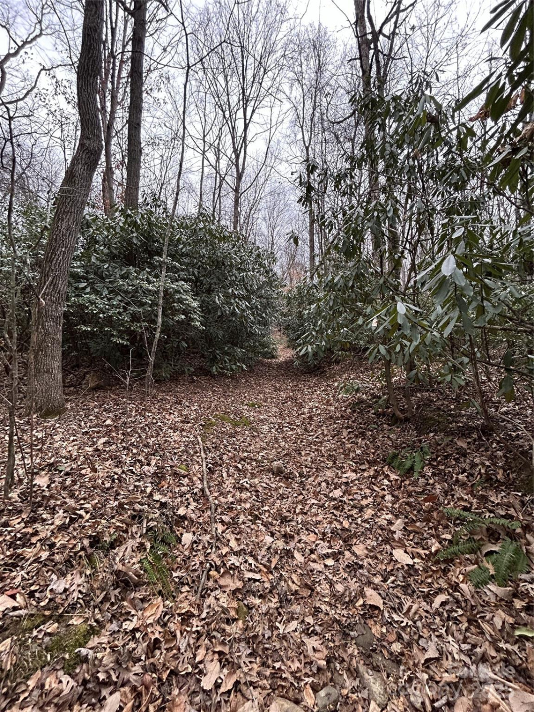 000 Lytle Cove Road - Photo 13