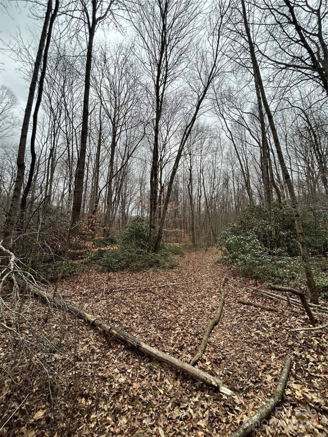 000 Lytle Cove Road - Photo 14