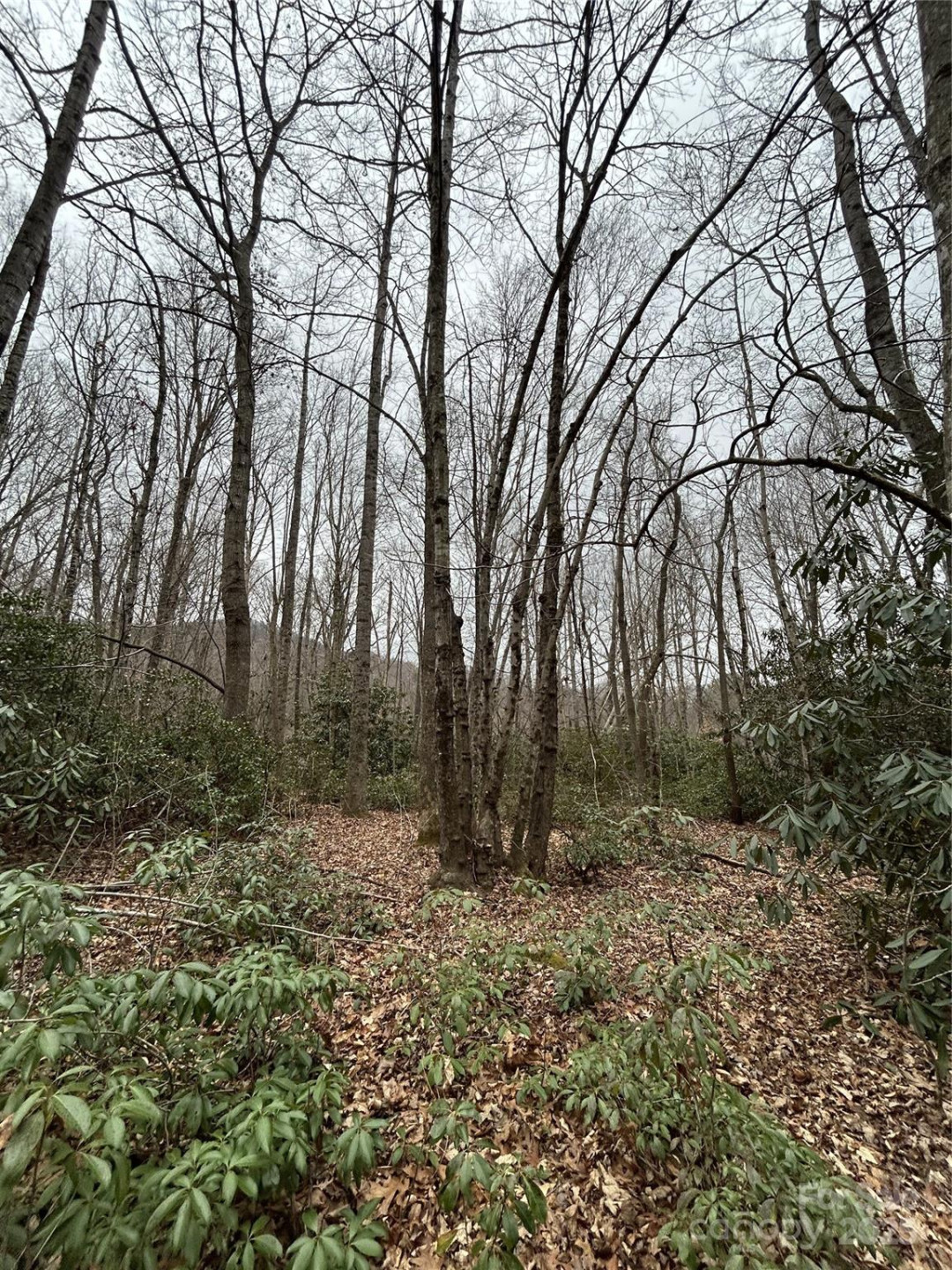 000 Lytle Cove Road - Photo 15