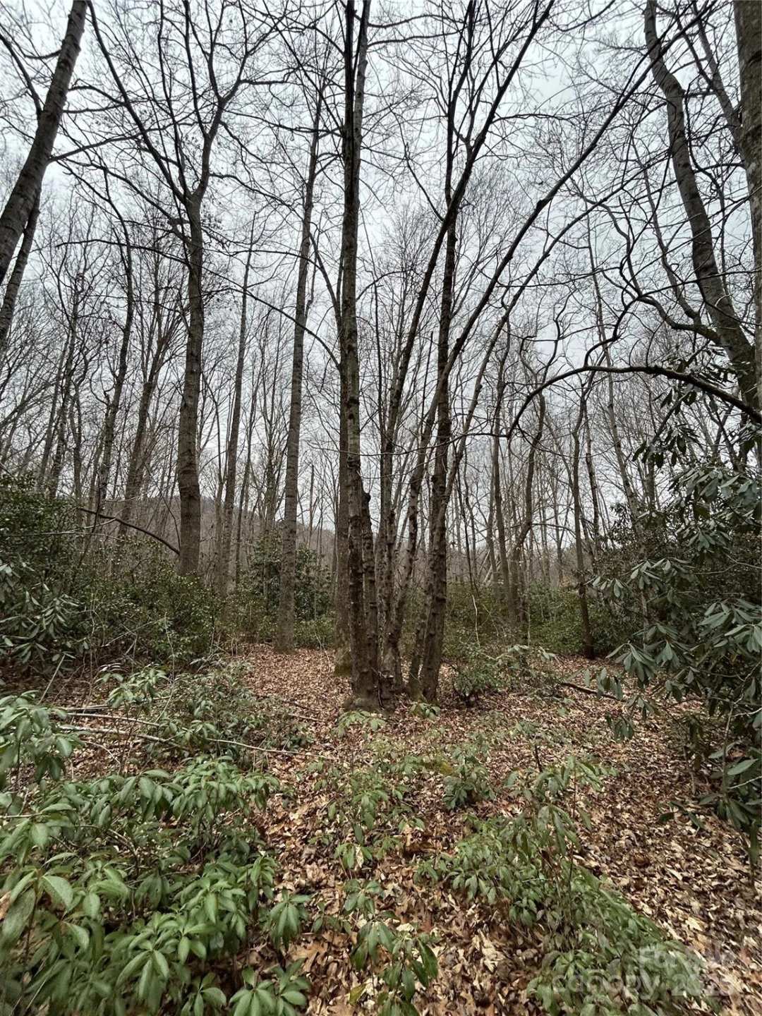 000 Lytle Cove Road - Photo 15