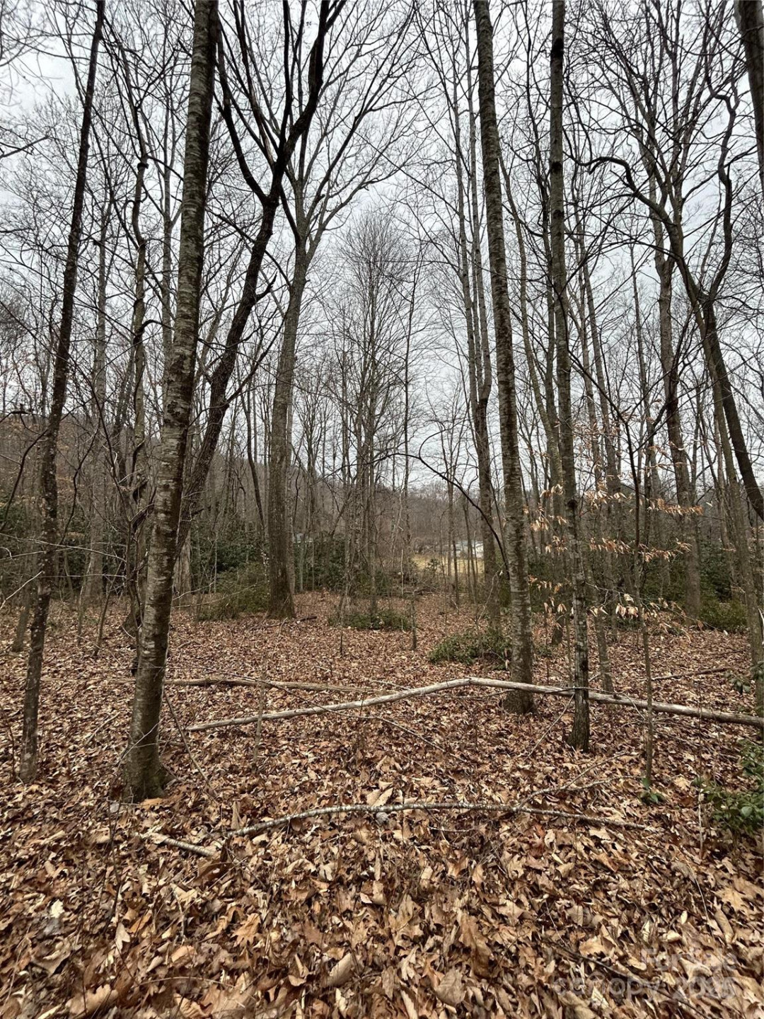 000 Lytle Cove Road - Photo 16