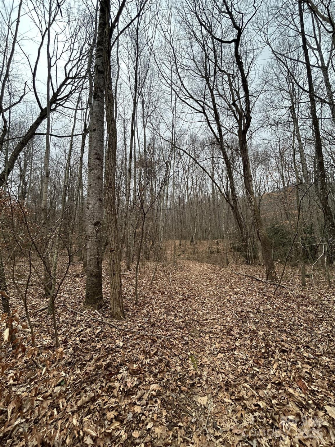 000 Lytle Cove Road - Photo 17