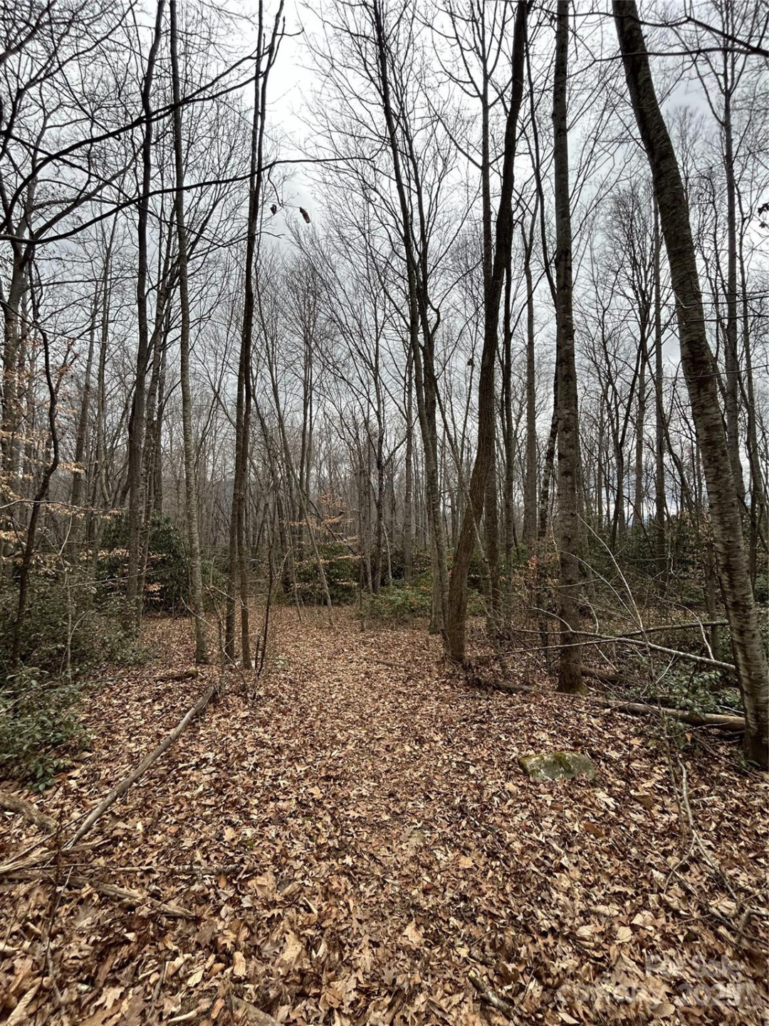 000 Lytle Cove Road - Photo 18